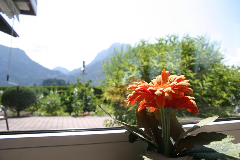 Gästehaus Elisabeth - 19