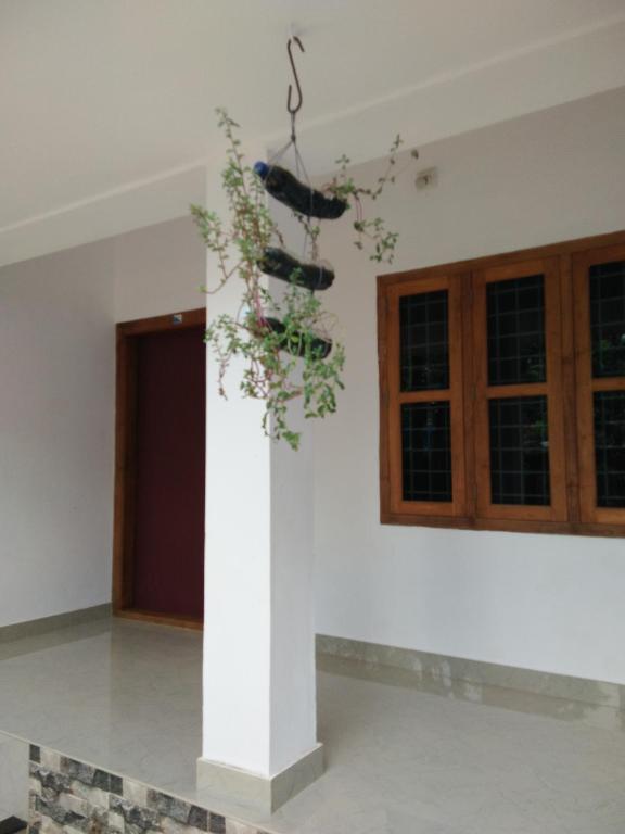 a plant on a column in a room at Nunu Homestay Guruvayoor in Guruvāyūr