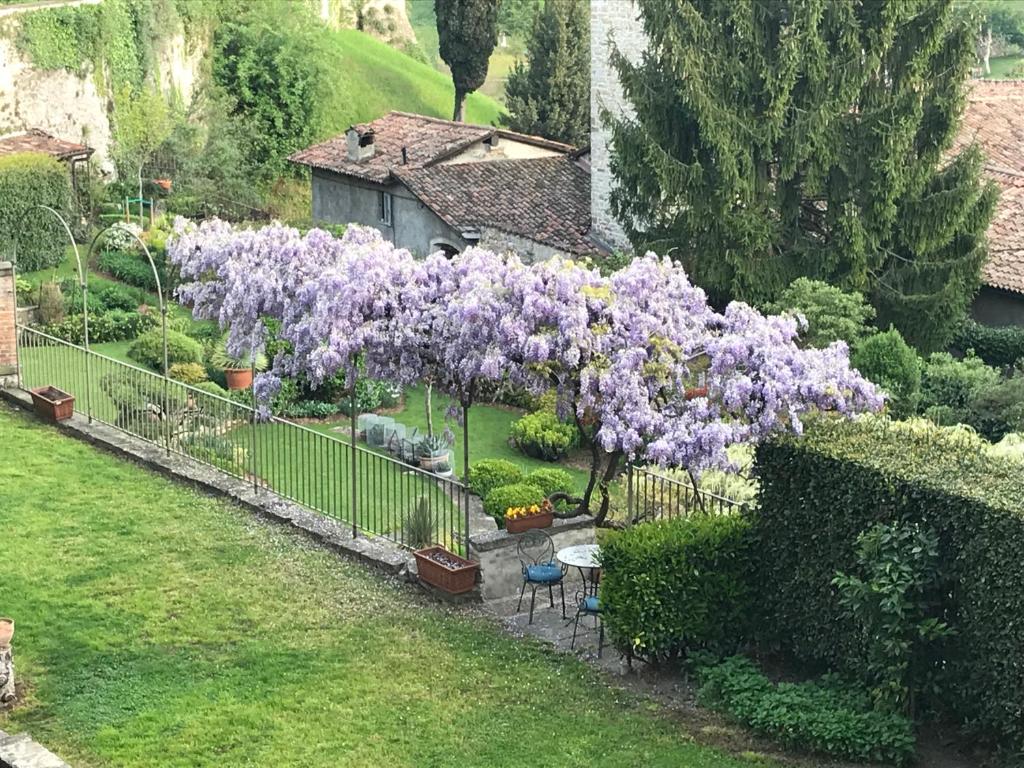 Jardí fora de B&B Entro Le Mura
