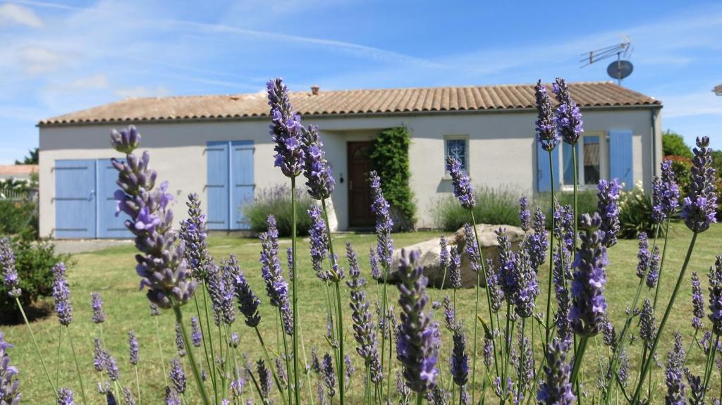 une maison avec des fleurs violettes devant dans l'établissement Les Lavandes, à Étaules