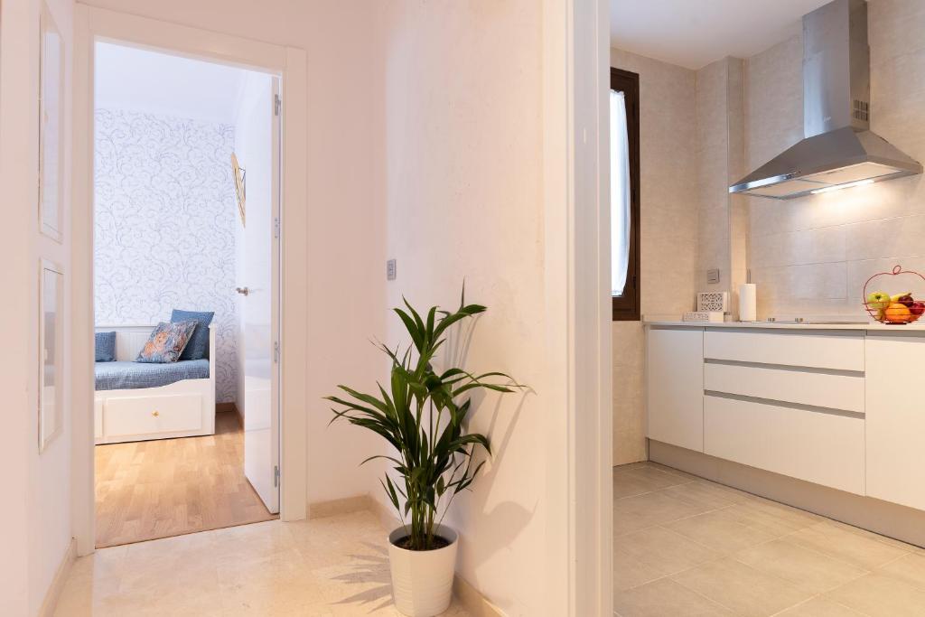 San Jerónimo 17 Suites - 3