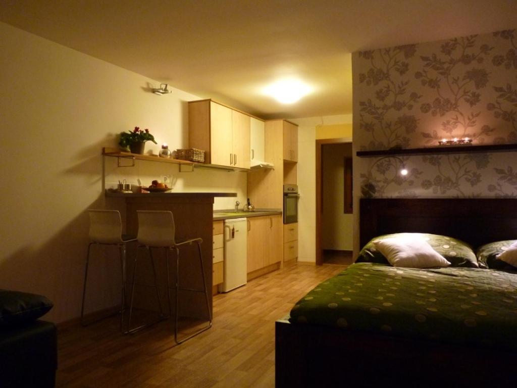 Kuchyň nebo kuchyňský kout v ubytování Apartmá Krkonoše