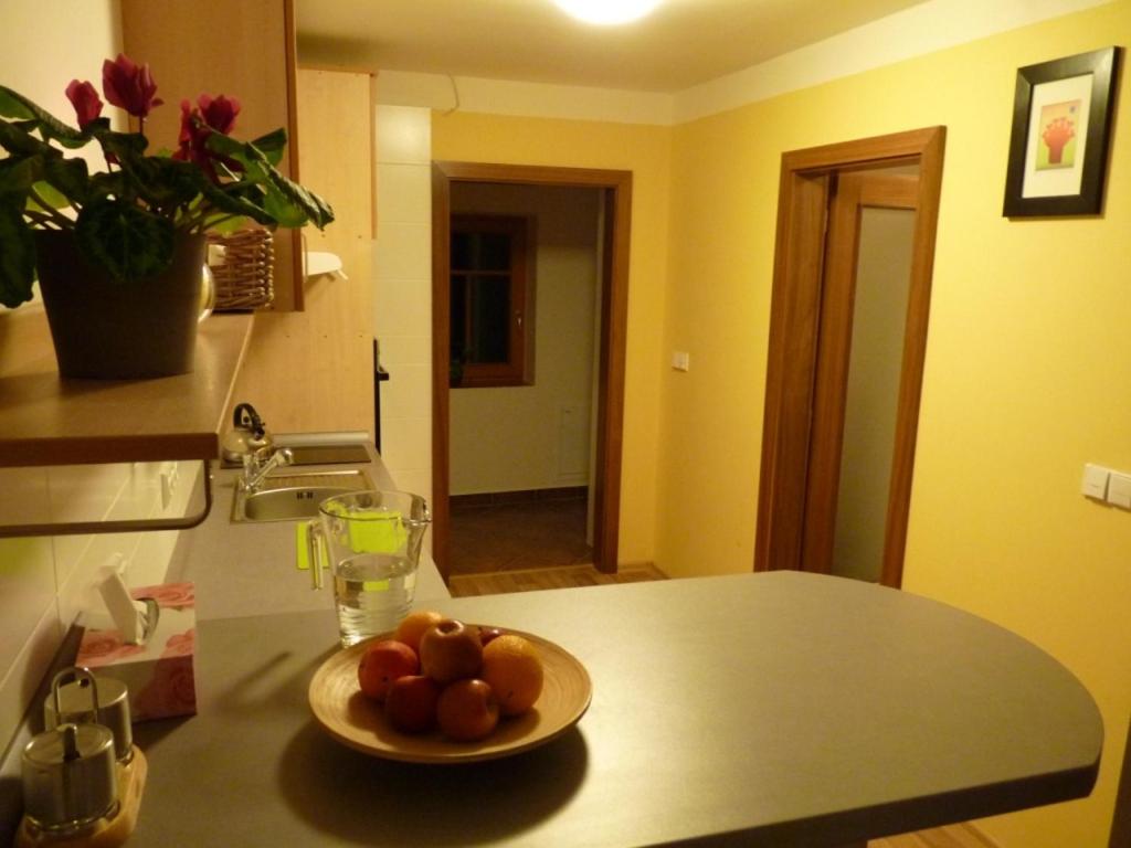 Fotografie z fotogalerie ubytování Apartmá Krkonoše v destinaci Martinice