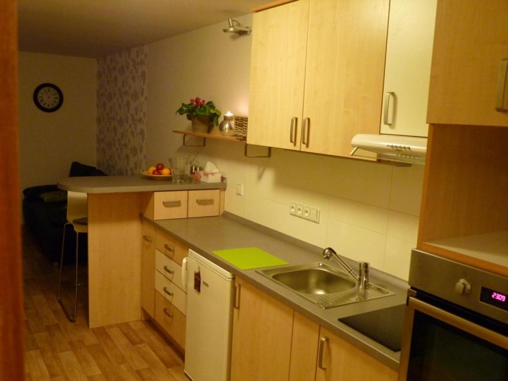 Kuchyň nebo kuchyňský kout v ubytování Apartmá Krkonoše