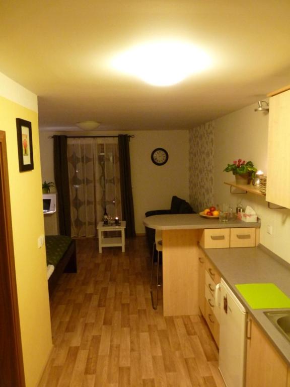 Kuchyň nebo kuchyňský kout v ubytování Apartmá Krkonoše