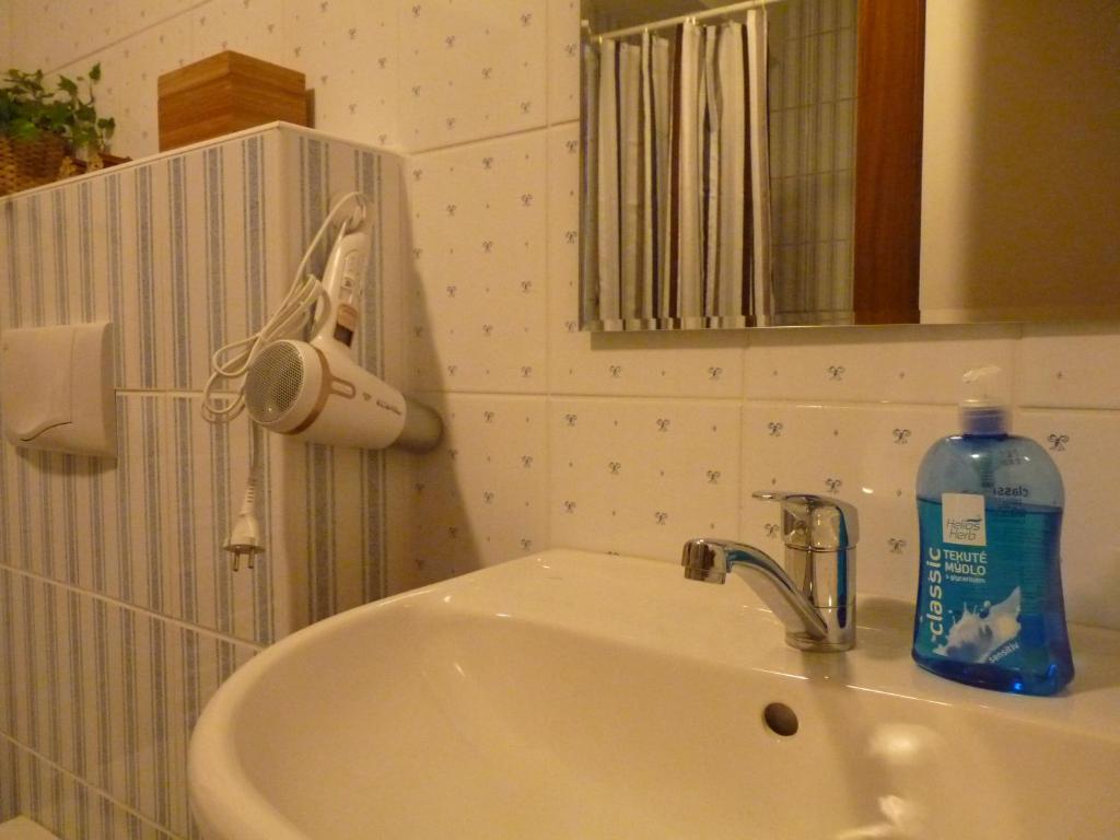 Koupelna v ubytování Apartmá Krkonoše