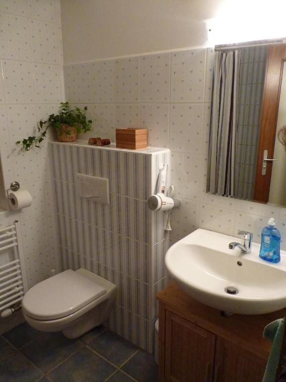 Koupelna v ubytování Apartmá Krkonoše