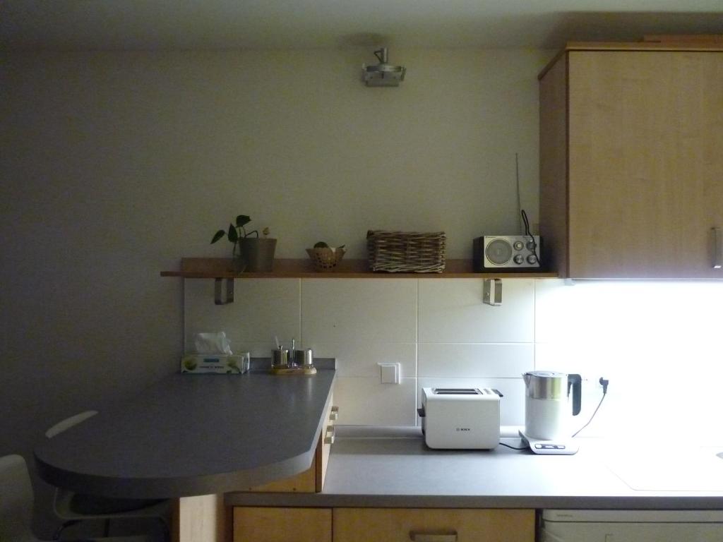 Kuchyň nebo kuchyňský kout v ubytování Apartmá Krkonoše