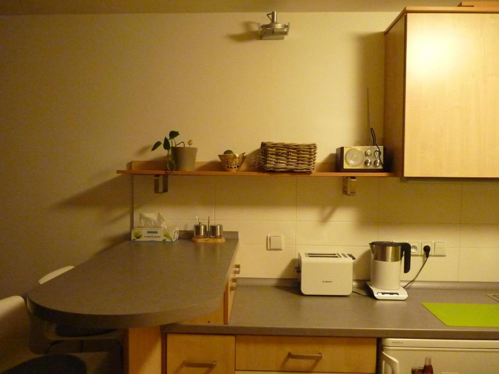 Kuchyň nebo kuchyňský kout v ubytování Apartmá Krkonoše