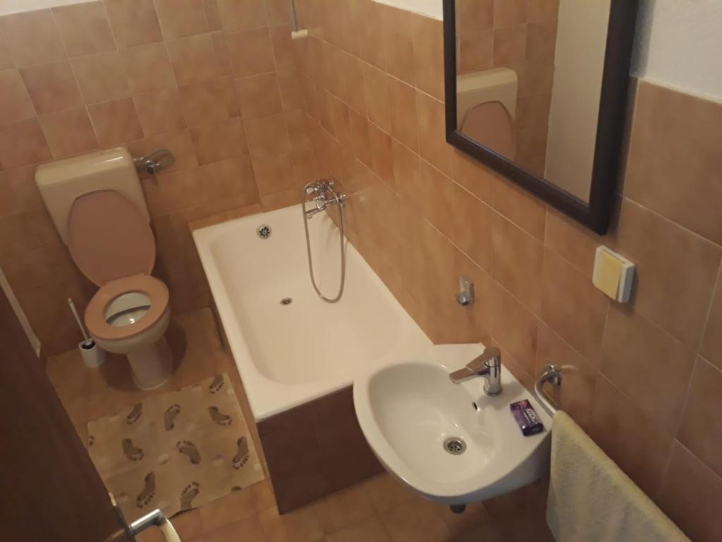Vannituba majutusasutuses Apartments Božito