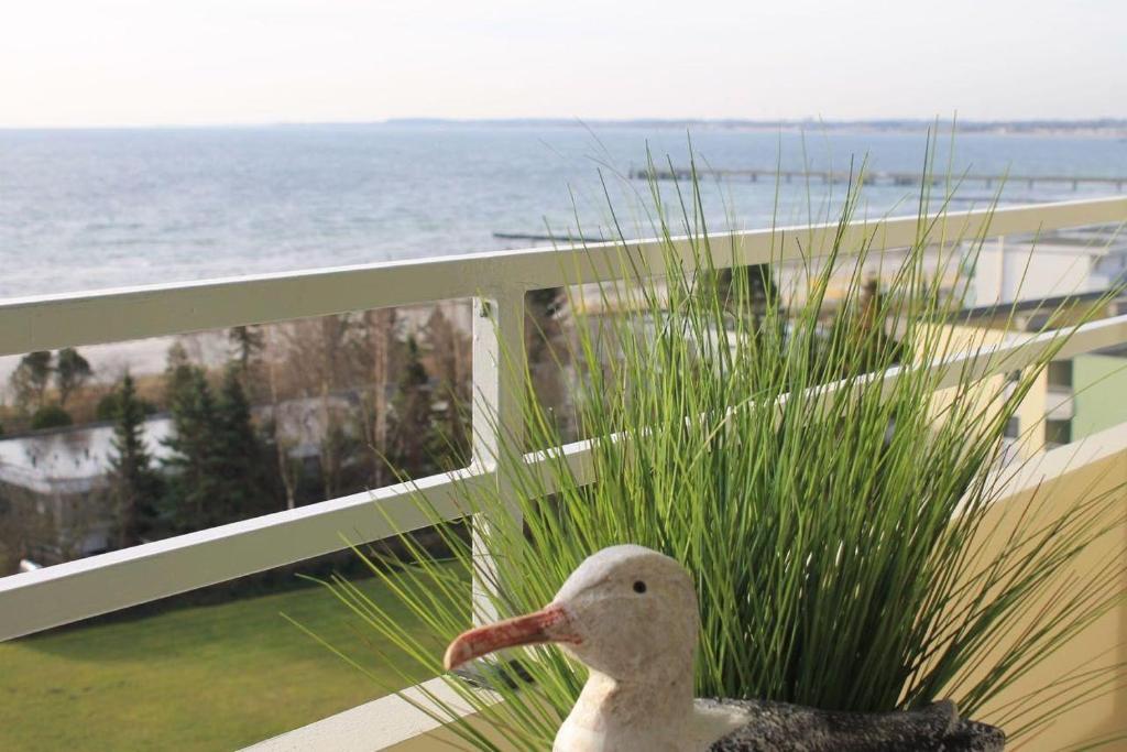 a duck sitting on a balcony looking at the ocean at Ferienwohnung-Meeresrauschen in Großenbrode