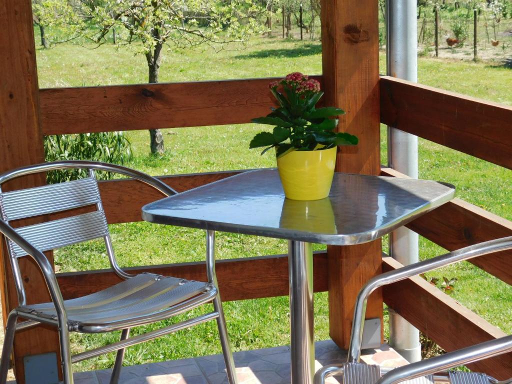a table and chairs on a porch with a potted plant at 8888 Apartmanház in Lispeszentadorján