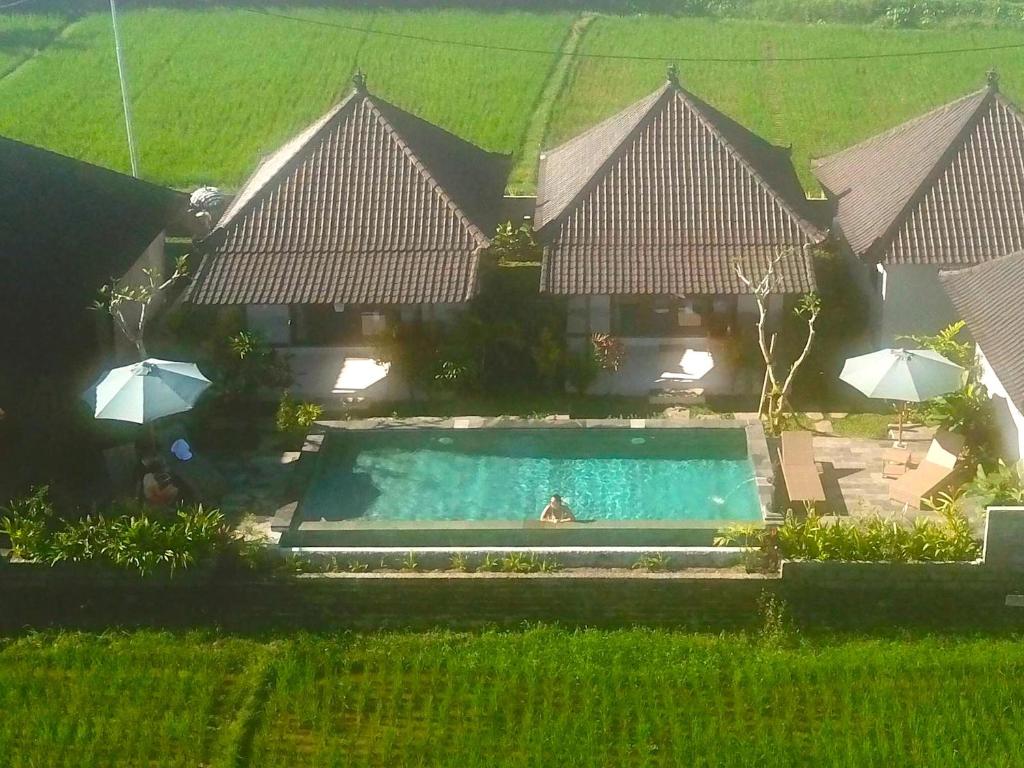 Bazén v ubytování Paraiso Cottage Ubud nebo v jeho okolí