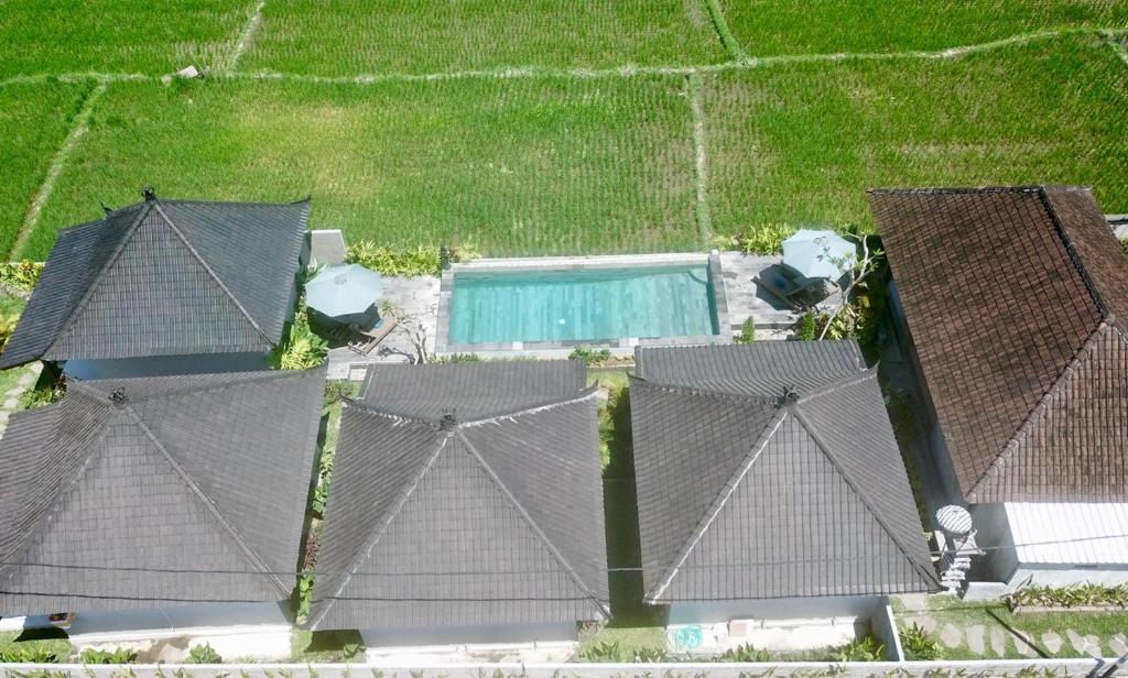 Bazén v ubytování Paraiso Cottage Ubud nebo v jeho okolí