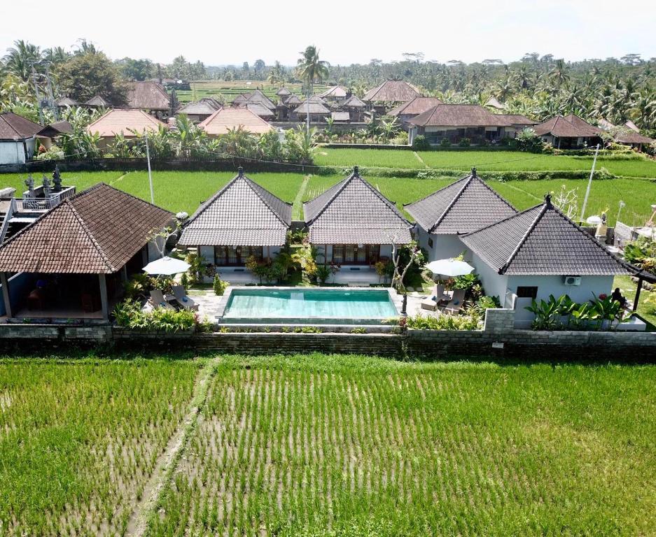 Bazén v ubytování Paraiso Cottage Ubud nebo v jeho okolí
