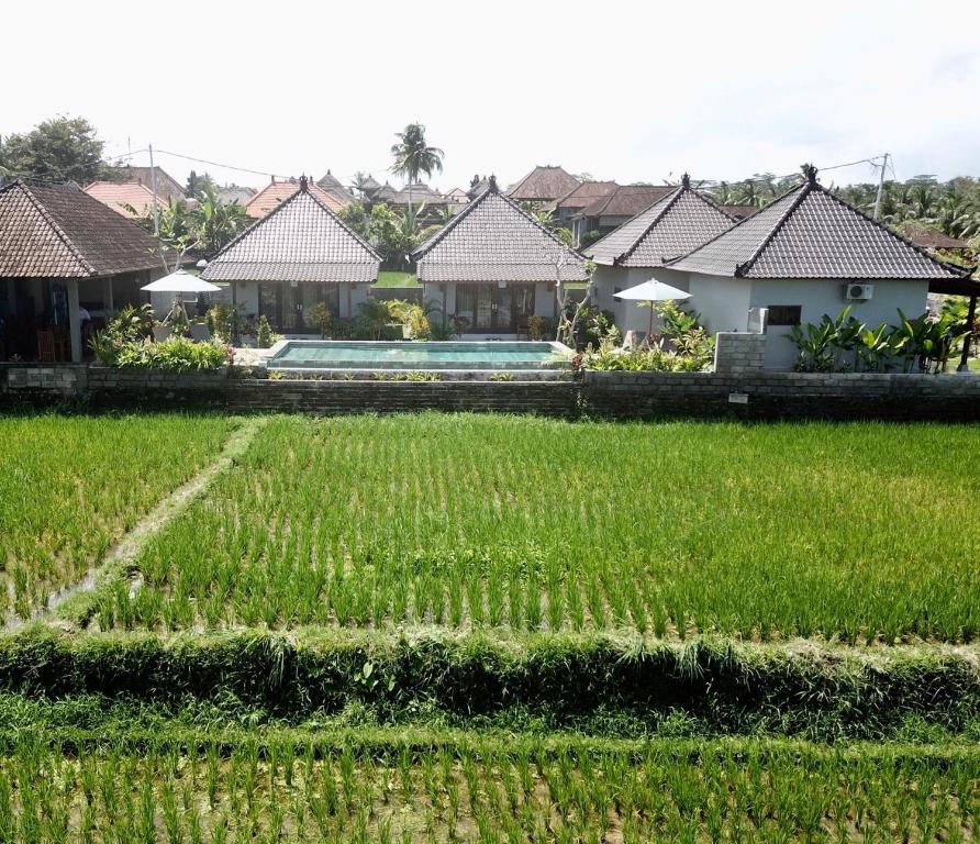 Zahrada ubytování Paraiso Cottage Ubud