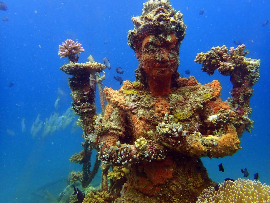 Hosté ubytování Biorock Homestay & Dive Center Pemuteran