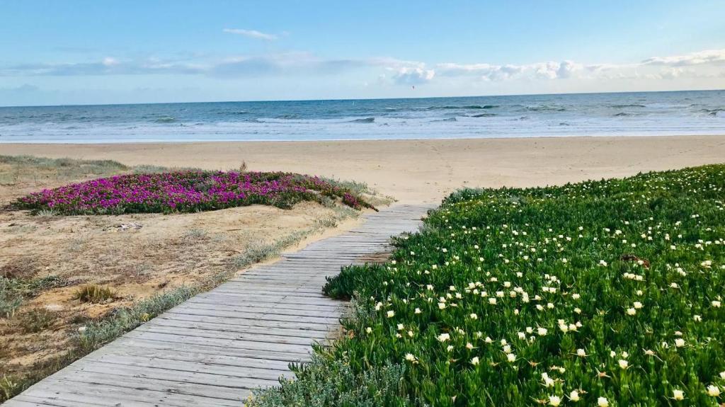 un camino de ladrillo que conduce a una playa con flores en Hostal Playa en Punta Umbría