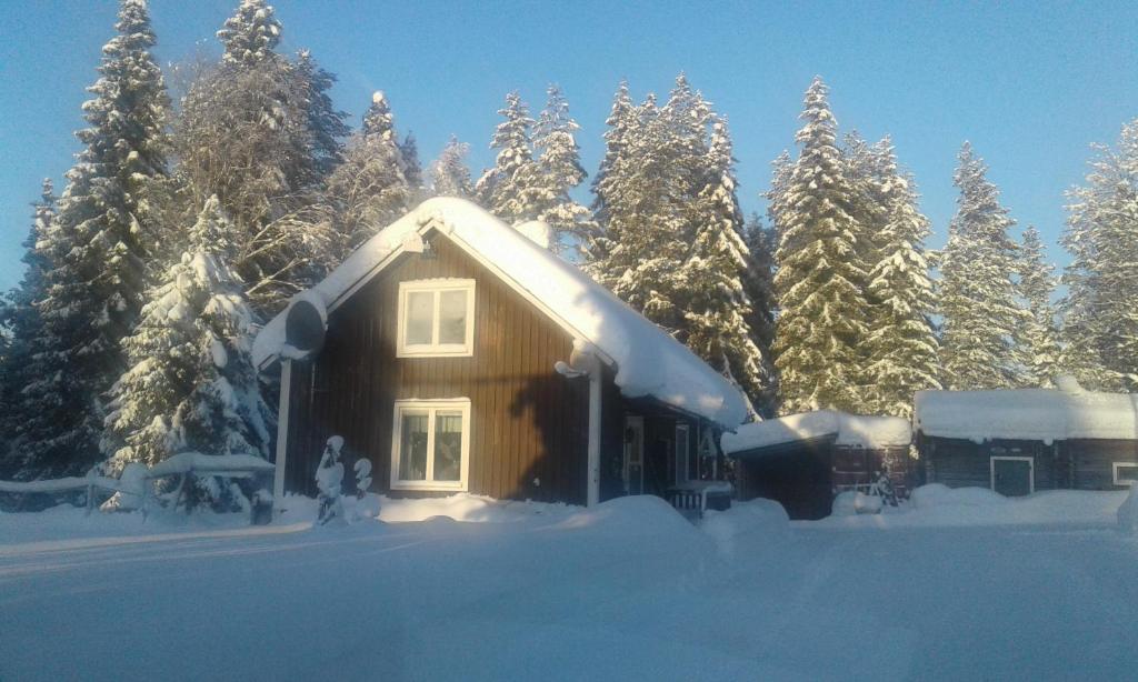 a house covered in snow in front of trees at Holiday House in Lapland, Överkalix in Överkalix
