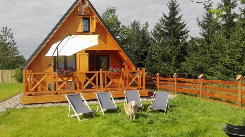 pies stojący w trawie przed chatą w obiekcie Domki nad Narwią w mieście Dzierzenin
