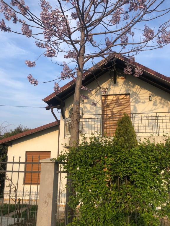 a white house with a tree in front of it at Casa Andrei in 2 Mai