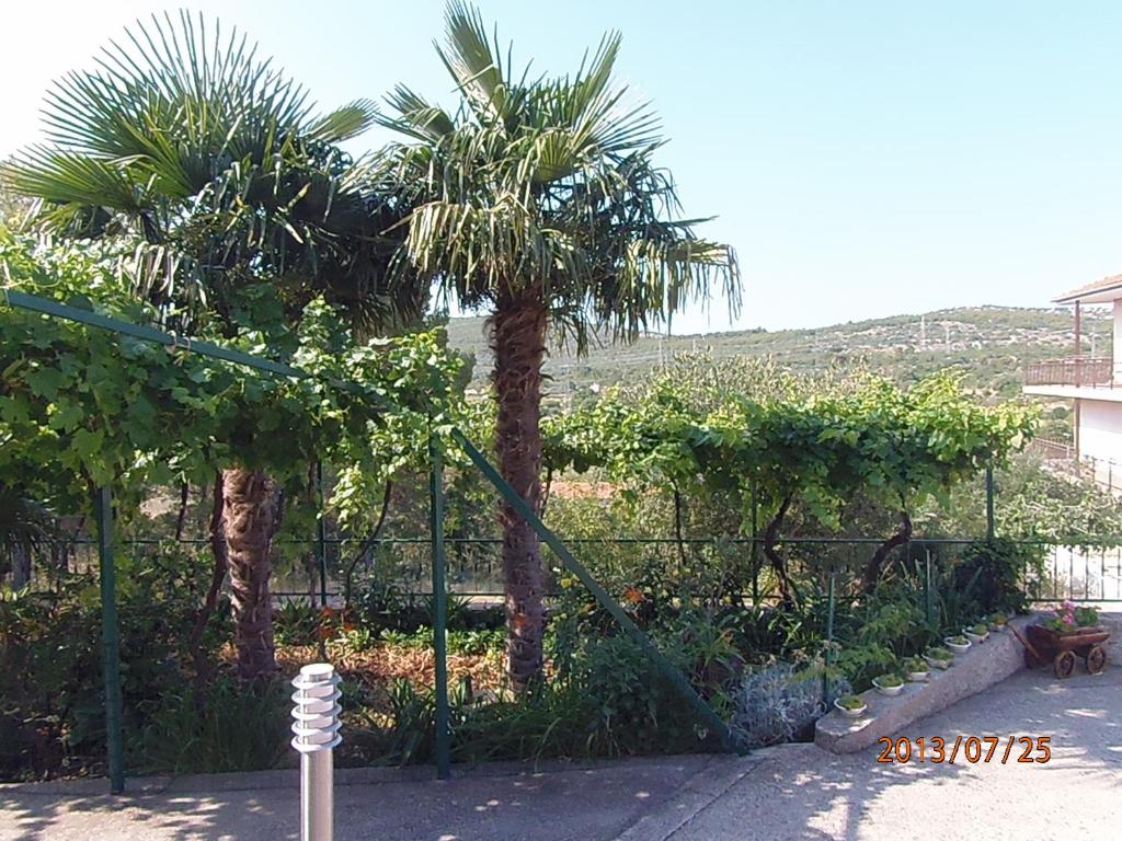 Apartments Palma - 16