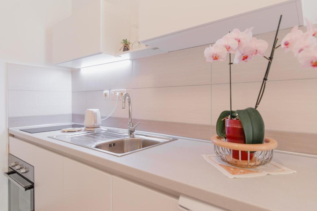 Apartments Diridonda - شقة