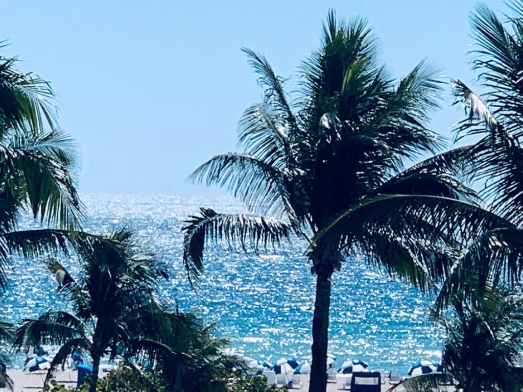 Sunrise Penthouse ocean view terrace beach few steps away SOBE - Apartamento De Lujo