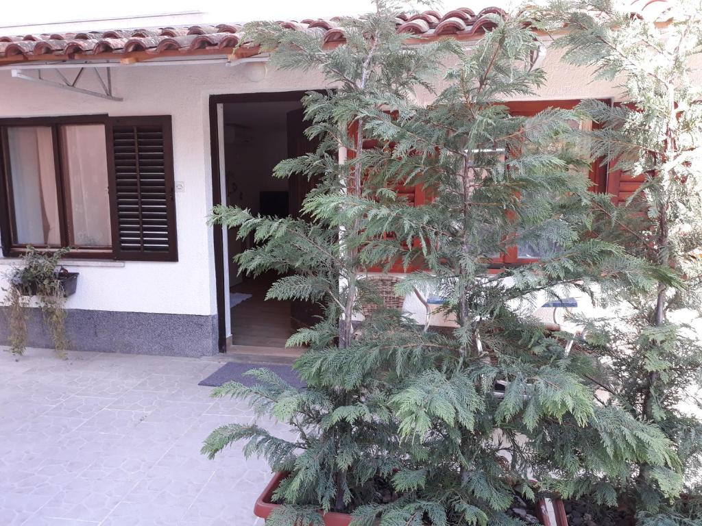 Apartments Garden - Apartment With Garden View