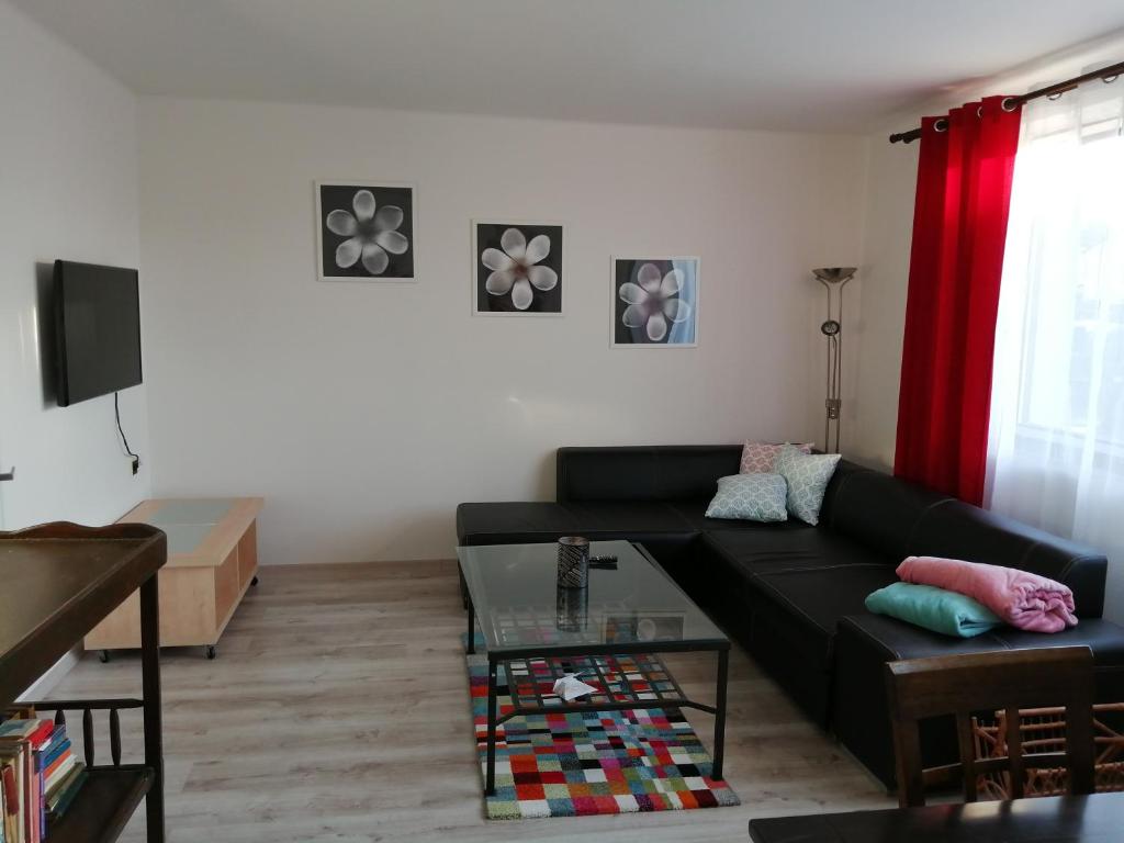 sala de estar con sofá negro y mesa en Apartmán Hugo en Kamenný Újezd
