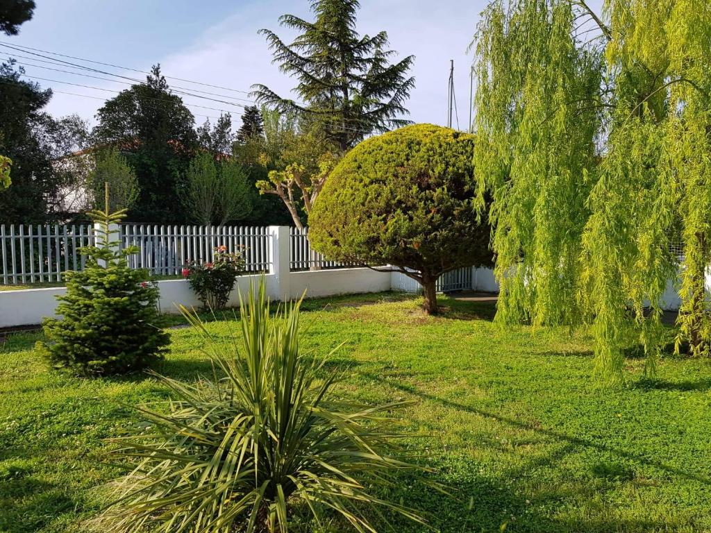 un patio con una valla blanca y una planta en Despina's house, en Nea Kalikratia