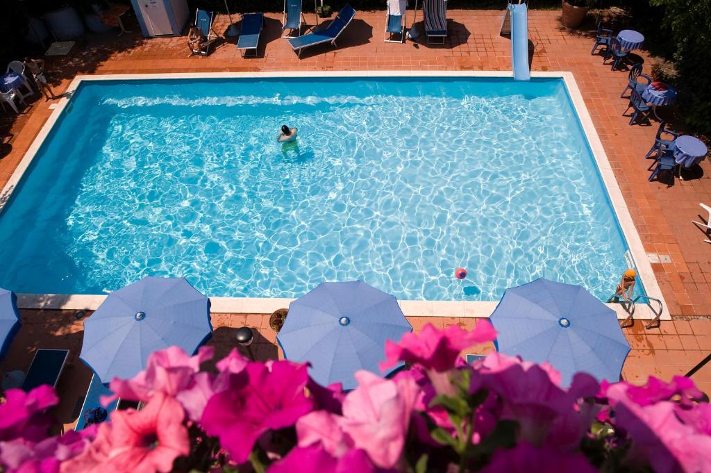 Bazén v ubytování Hotel Leuco' nebo v jeho okolí
