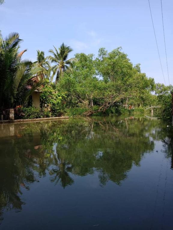 Young Coconut Garden Home Resort - Superior Double Room With Canal View