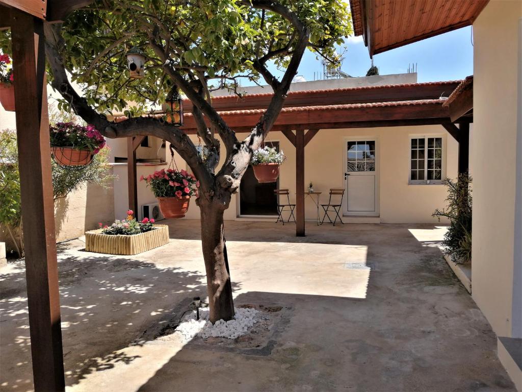 Fotografie z fotogalerie ubytování Lemon Tree Courtyard v destinaci Larnaka
