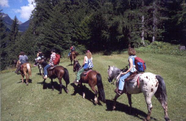 Zwierzęta w domu w stylu alpejskim lub w pobliżu