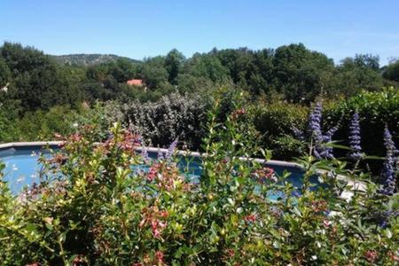 un jardín con flores púrpuras y una piscina en Chez Karine et Julien en Cahors