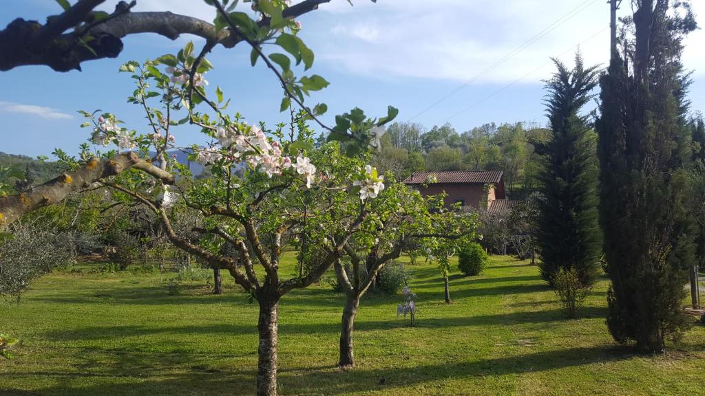 Ogród w obiekcie Casa Monaco