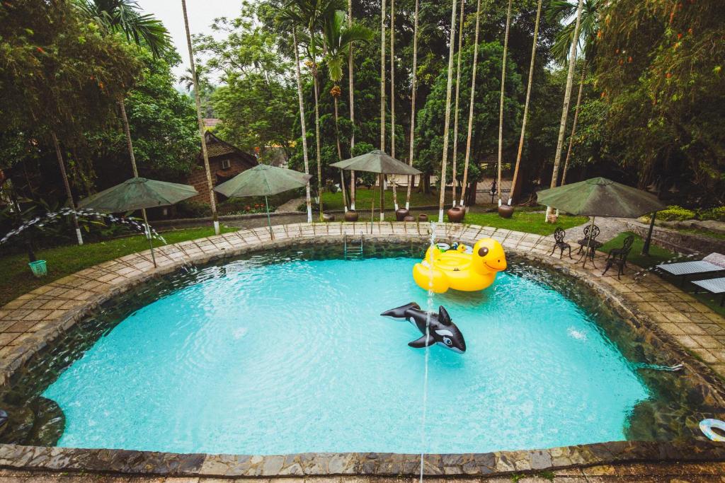 ein Pool mit einer Gummiente und Delfinen in der Unterkunft Bavi Homestead in Ba Vì