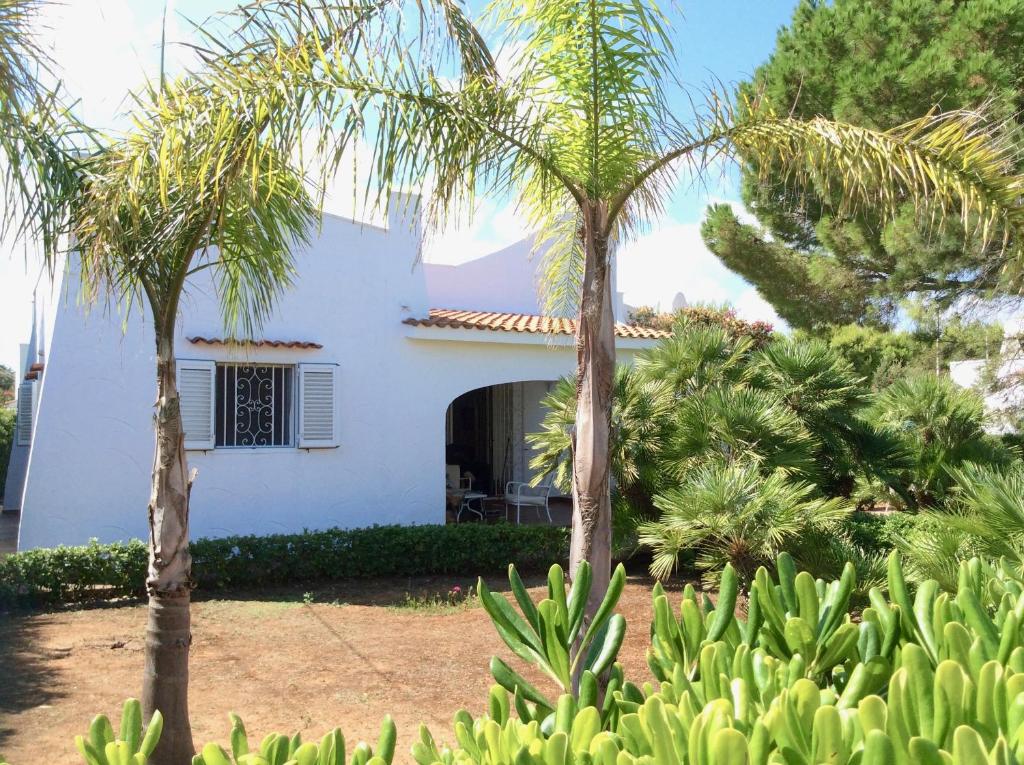 una casa blanca con palmeras delante en Villa Le Palme, en Rosa Marina