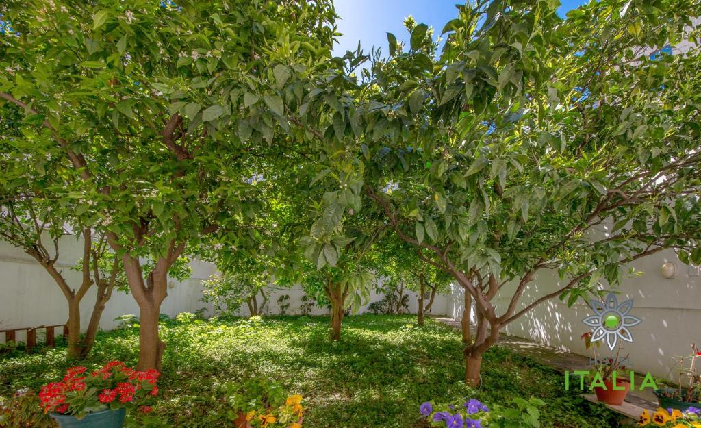 Hotel Italia - Resim 26