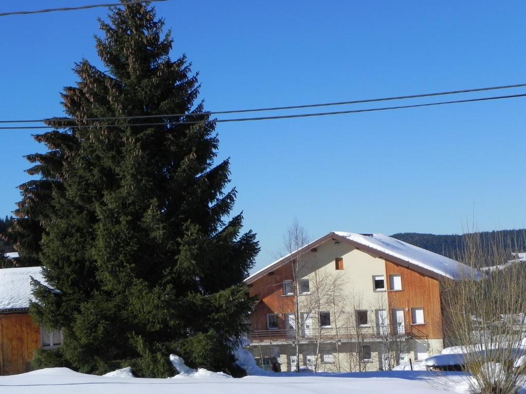Příroda nedaleko apartmánu