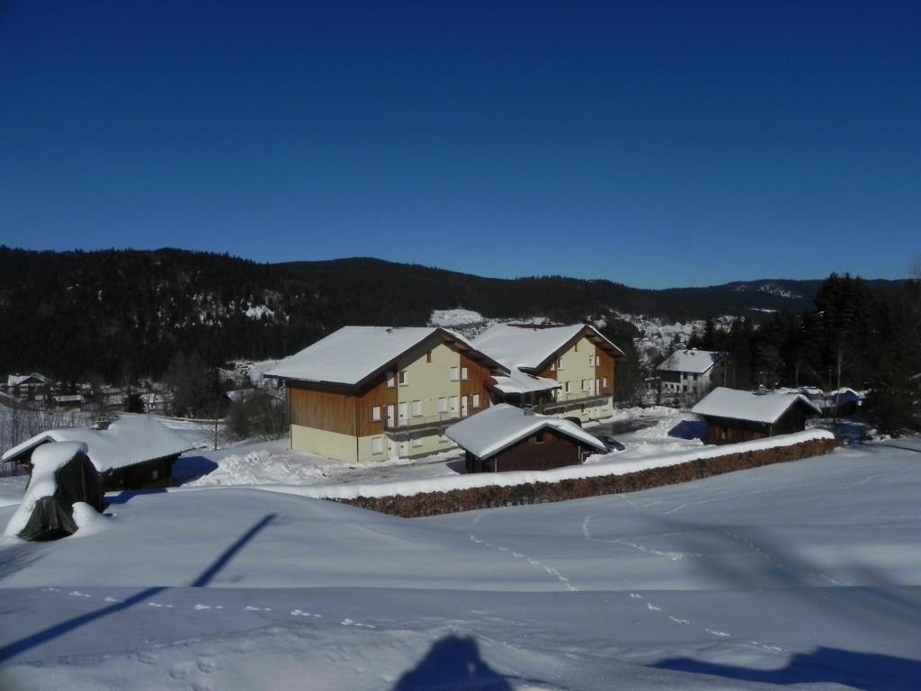 APPT 3* LE HAUT DES LACS v zimě