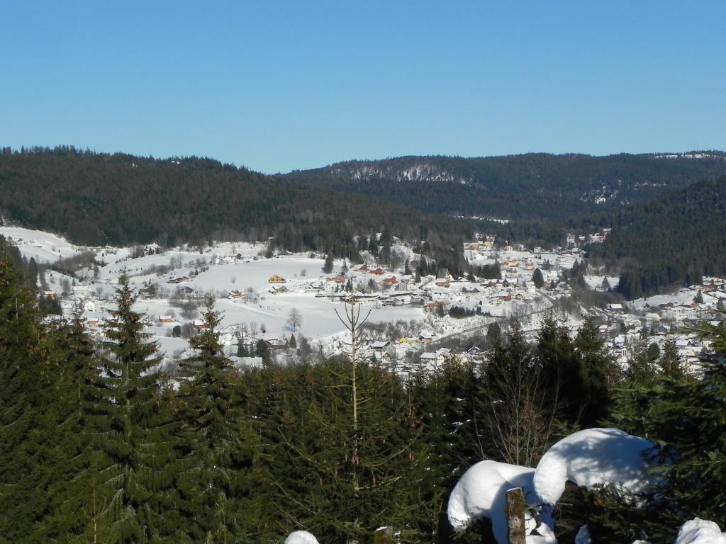 APPT 3* LE HAUT DES LACS v zimě