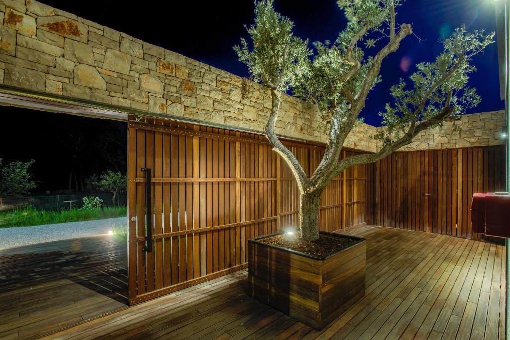 Zahrada ubytování Yellow Tree Jurici Home & Spa