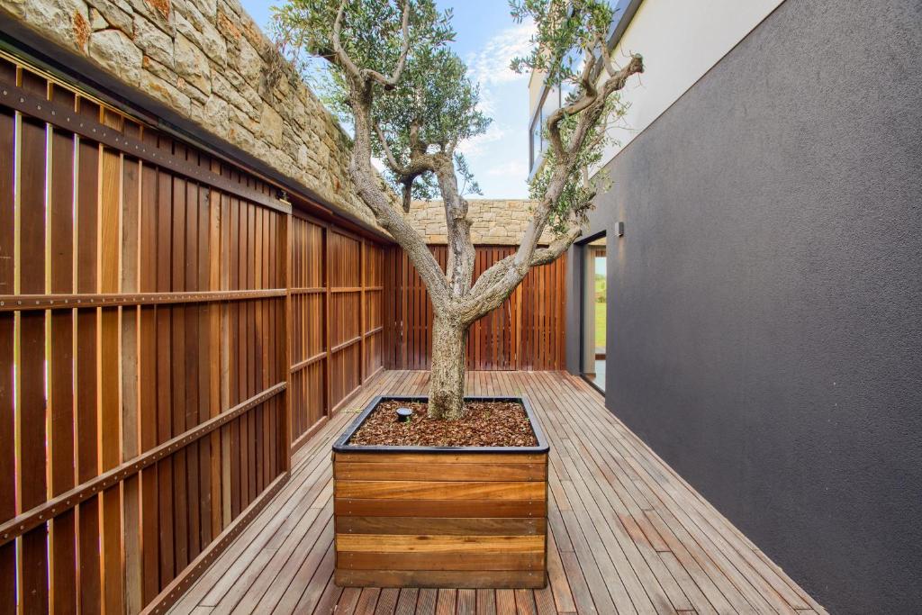 Fotografie z fotogalerie ubytování Yellow Tree Jurici Home & Spa v destinaci Baderna