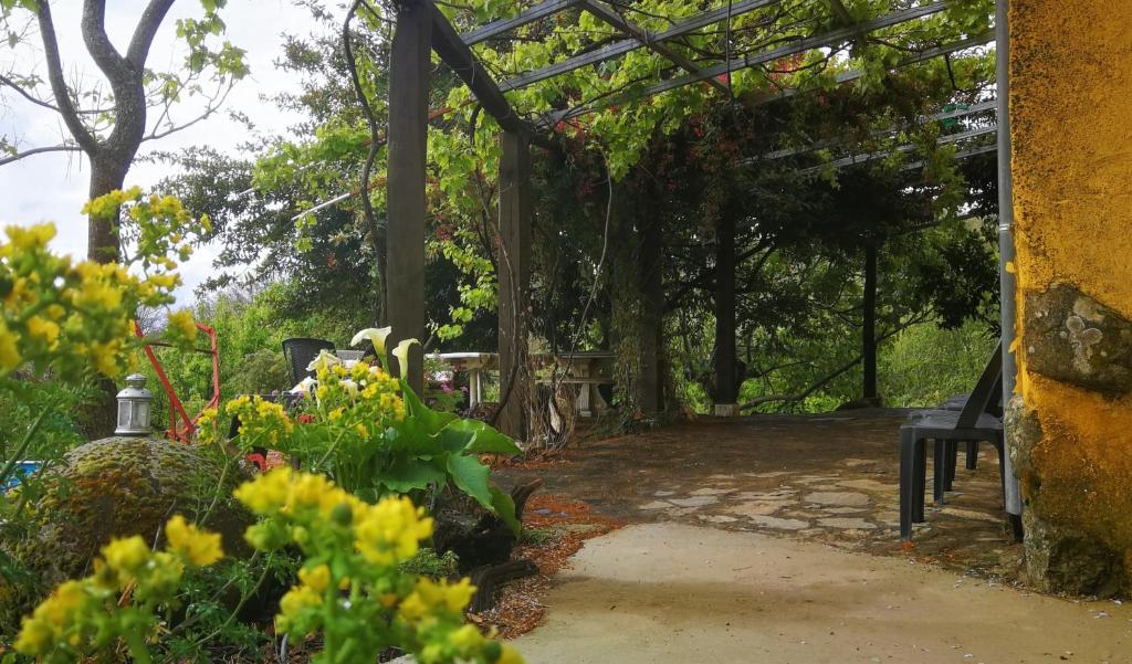 a garden with a bench and some flowers and trees at CR familiar PrimaVera Jarandilla de la Vera in Jarandilla de la Vera