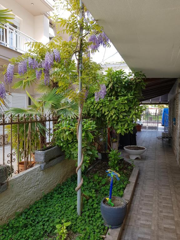 Zahrada ubytování Villa Fallias