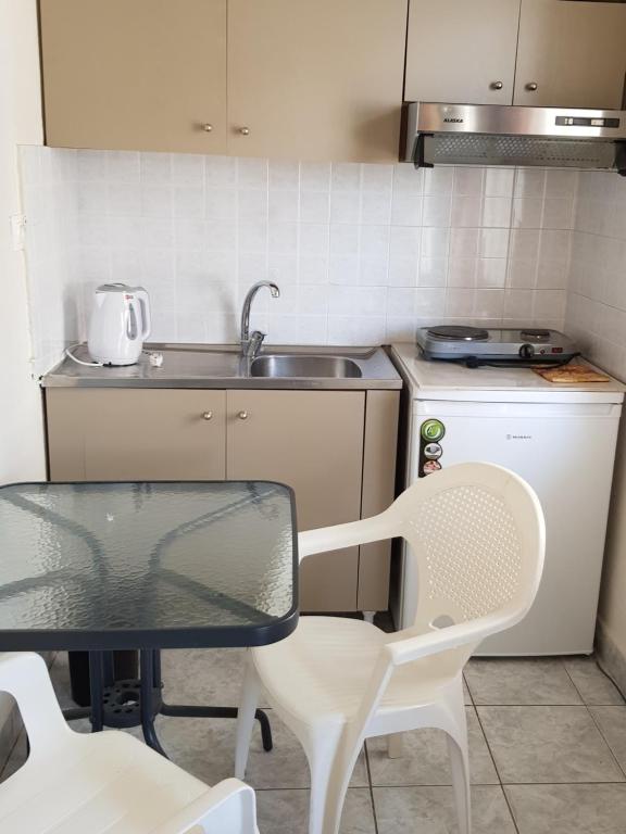 Kuchyň nebo kuchyňský kout v ubytování Villa Fallias