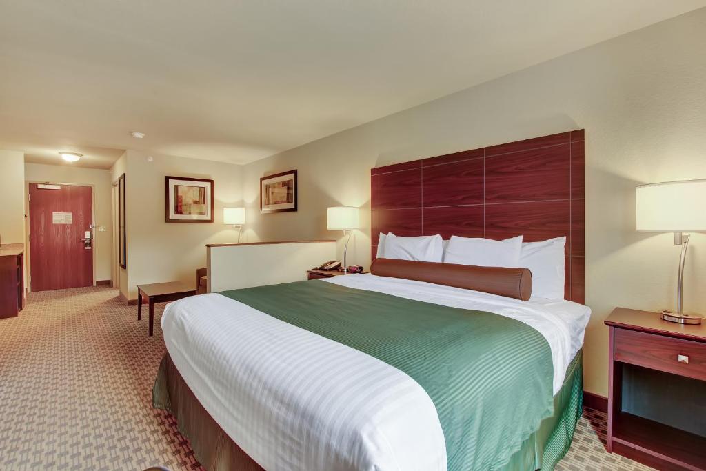 Cobblestone Hotel & Suites - Waynesboro - King Studio With Sofa Bed