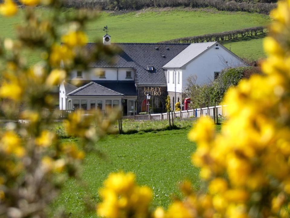 a house in a field with yellow flowers in the foreground at Llety Ceiro Guesthouse in Aberystwyth